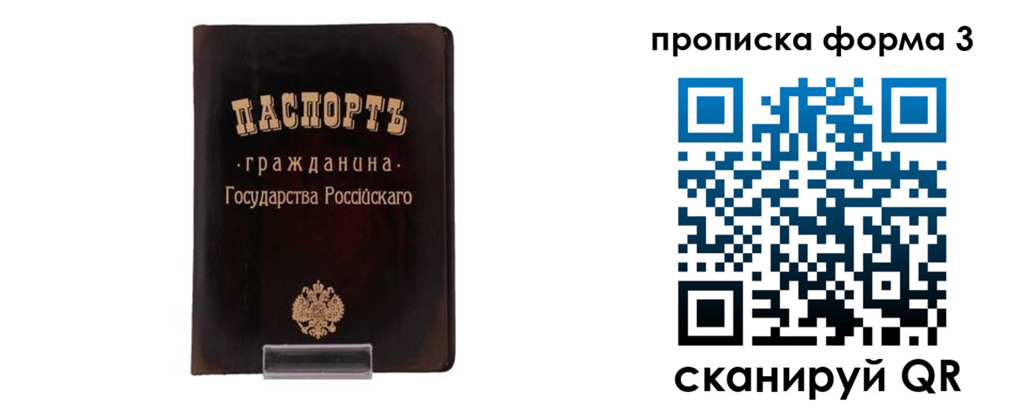 прописка паспорт в Новозыбкове